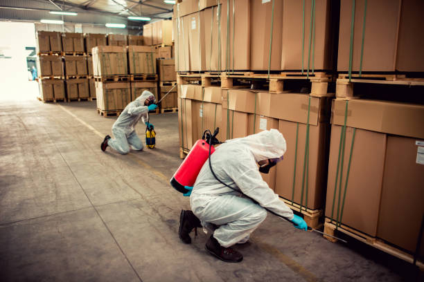 Best Mosquito Control Services  in Stratmoor, CO