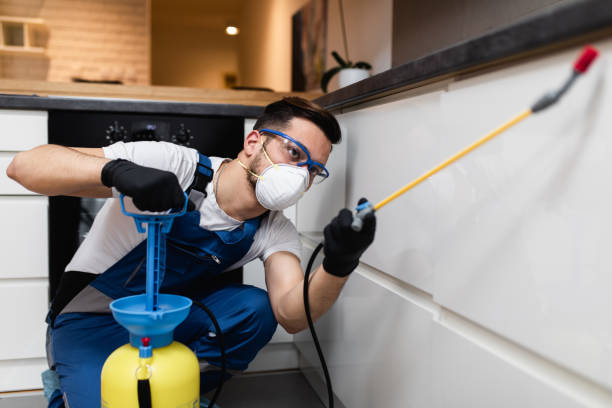 Best Affordable Pest Control Services  in Stratmoor, CO