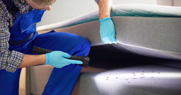 Best Affordable Pest Control Services  in Stratmoor, CO